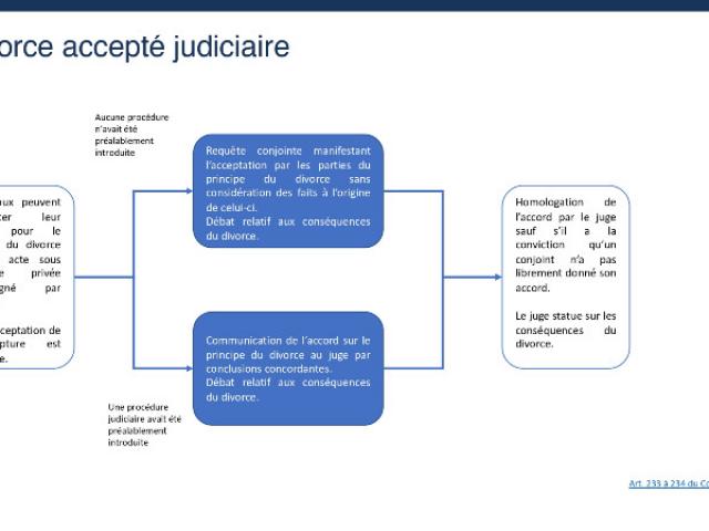 Schémas explicatifs des divorces judiciaires en France 