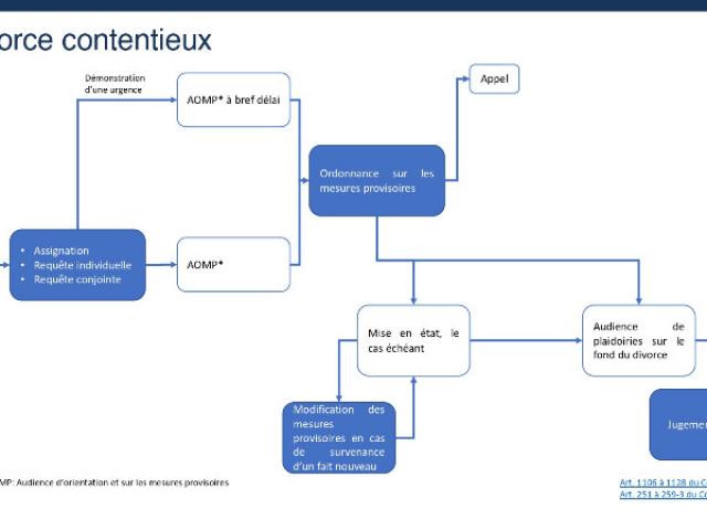 Schémas explicatifs des divorces judiciaires en France 