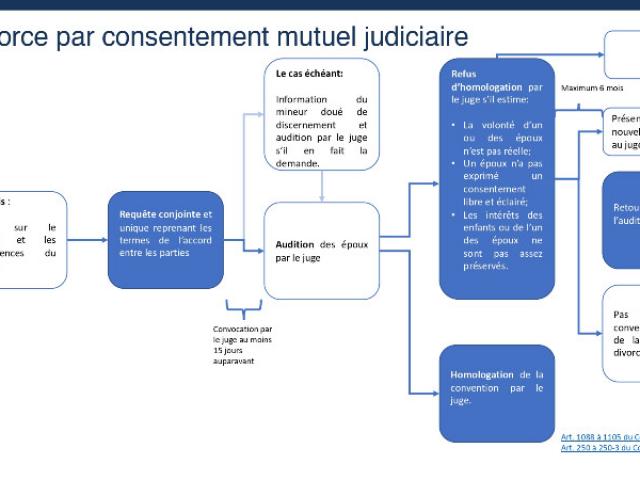 Schémas explicatifs des divorces judiciaires en France 